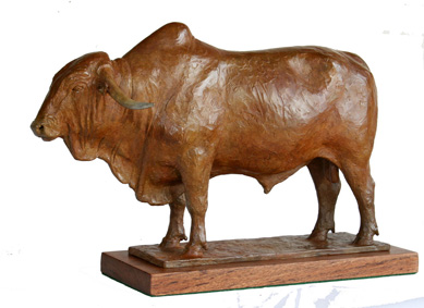 Afrikander bull bronze sculpture